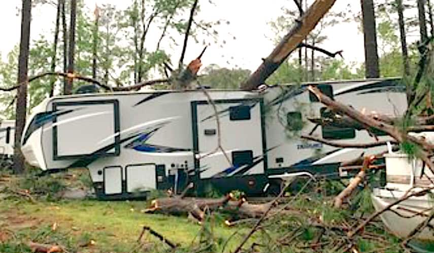storm944 A fallen tree rests on top of a large RV in a wooded area, with broken branches and debris scattered on the ground, creating a scene of unexpected damage Specialized RV Repair and Conversions, Inc